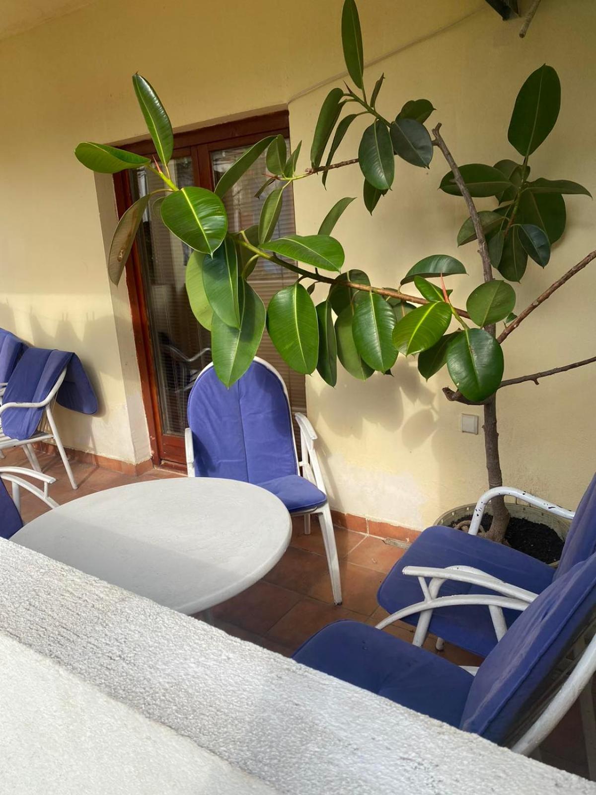 Apartmani Zelenika Herceg Novi Room photo