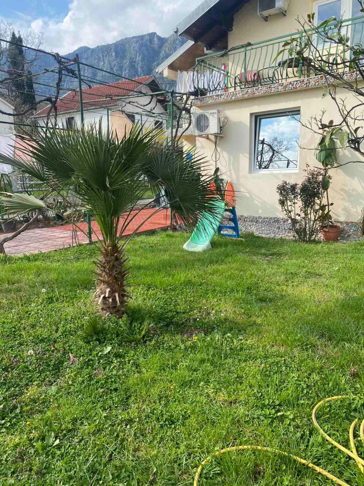 Apartmani Zelenika Herceg Novi Room photo
