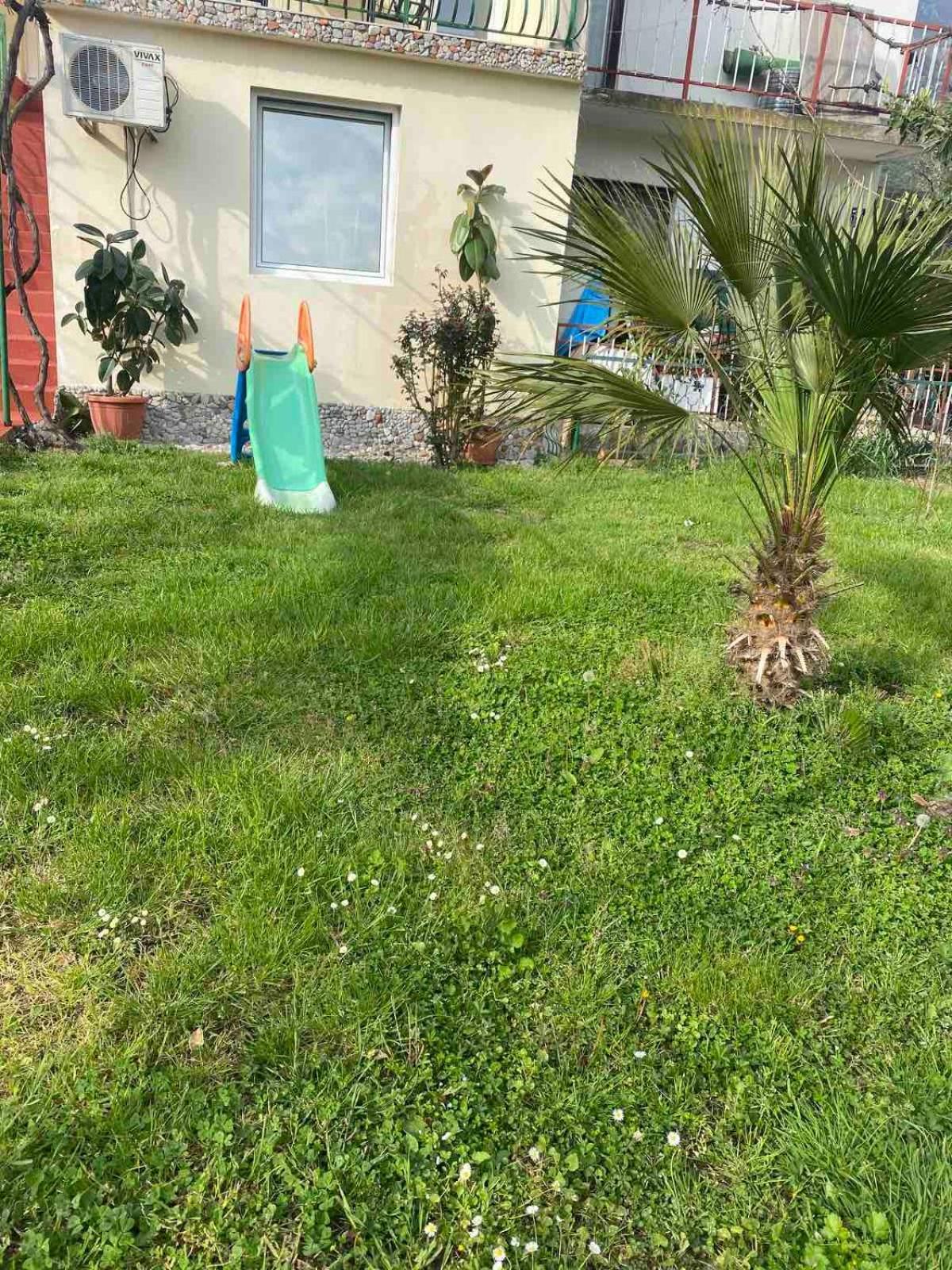 Apartmani Zelenika Herceg Novi Room photo