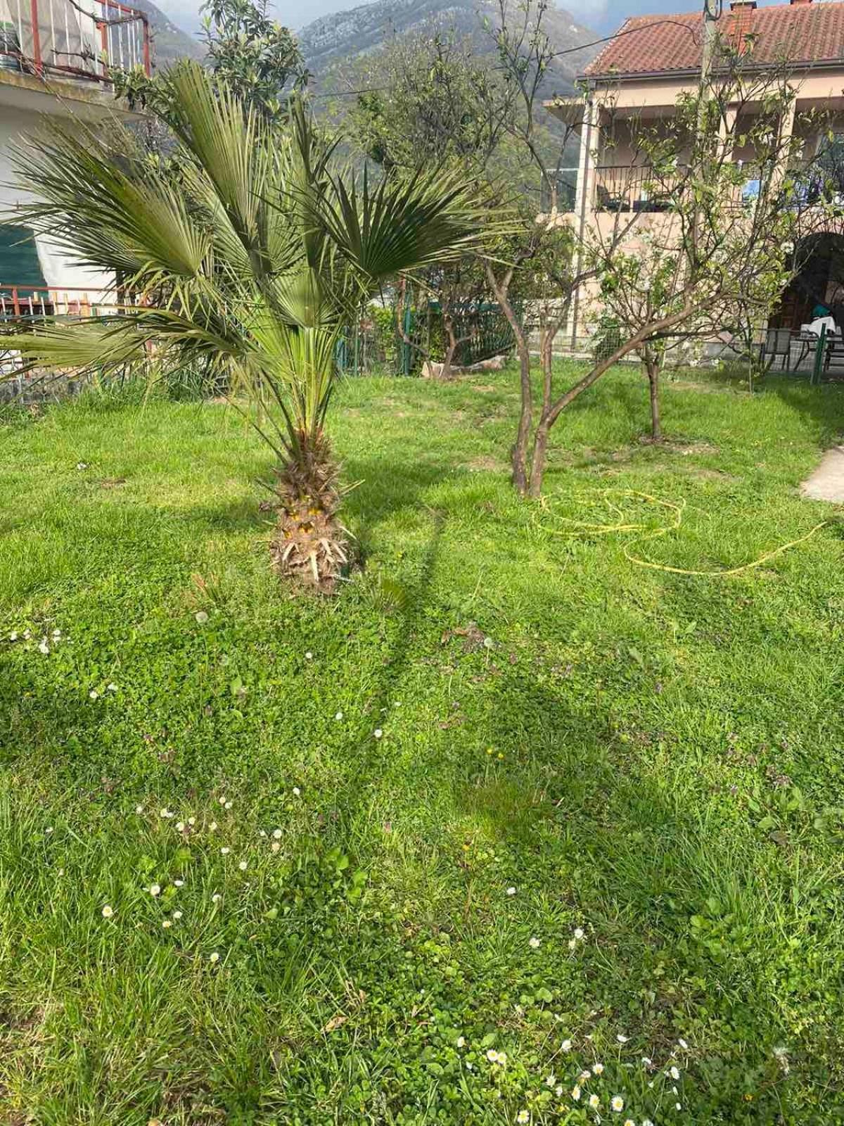Apartmani Zelenika Herceg Novi Room photo